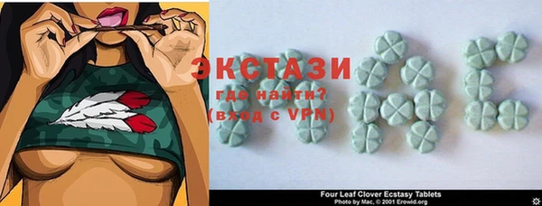 индика Елабуга