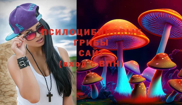мет Заволжск