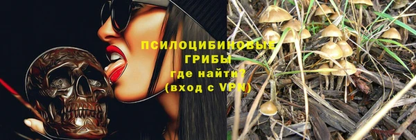 синтетический гашиш Заводоуковск